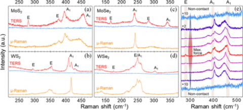 Raman modes