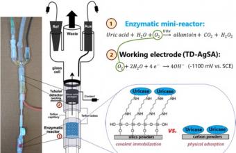 Sensors and Actuators B: Chemical, DOI: https://doi.org/10.1016/j.snb.2021.130252 Sofiia Tvorynska, Jiří Barek, Bohdan Josypčuk Flow amperometric uric acid biosensors based on different enzymatic mini-reactors: A comparative study of uricase immobilization 